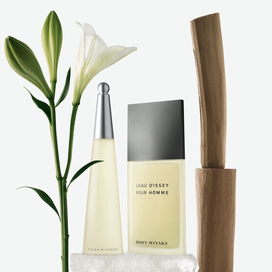 MIYAKE     L'EAU D'ISSEY EDTV 100ML