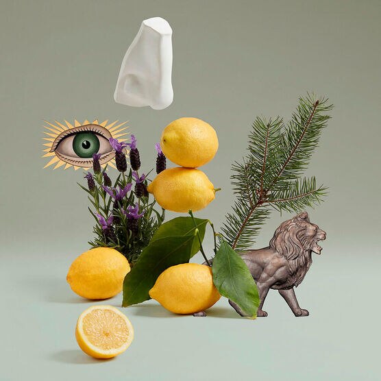 Perfume Penhaligons Blenheim Bouquet Unissex Eau de Toilette