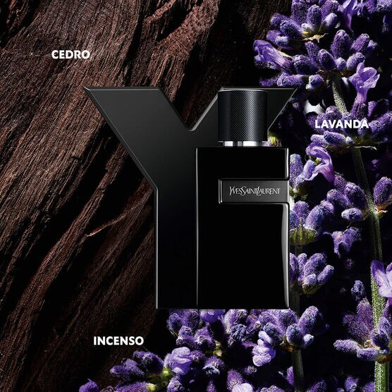 Y MEN ABSOLU EDP 60ML