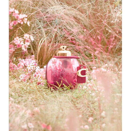 wild rose for woman edp